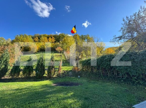 Casa de vânzare 3 camere Brad - 179901CV | BLITZ Deva | Poza16