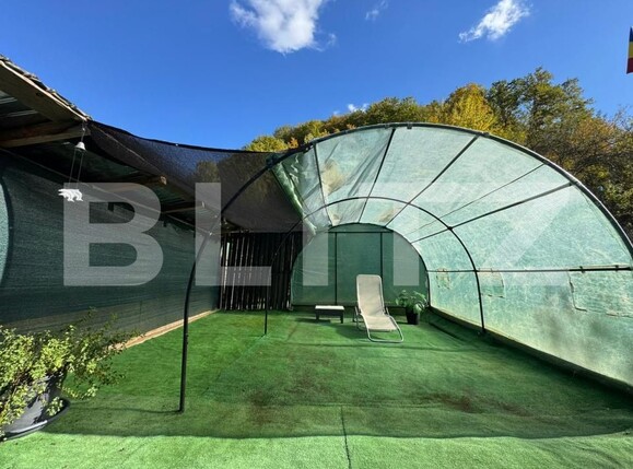 Casa de vânzare 3 camere Brad - 179901CV | BLITZ Deva | Poza18