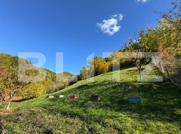 Casa de vânzare 3 camere Brad - 179901CV | BLITZ Deva | Poza15