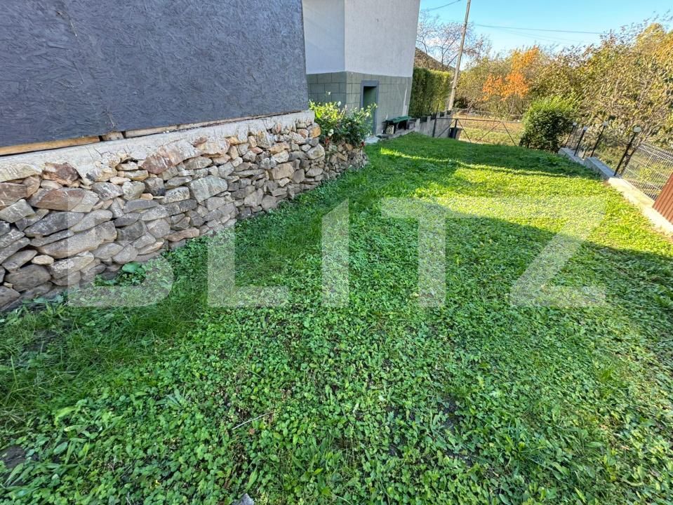 Casa de vânzare 3 camere Brad - 179901CV | BLITZ Deva | Poza19