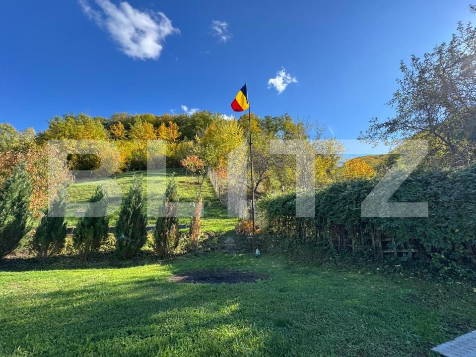 Casa de vânzare 3 camere Brad - 179901CV | BLITZ Deva | Poza16