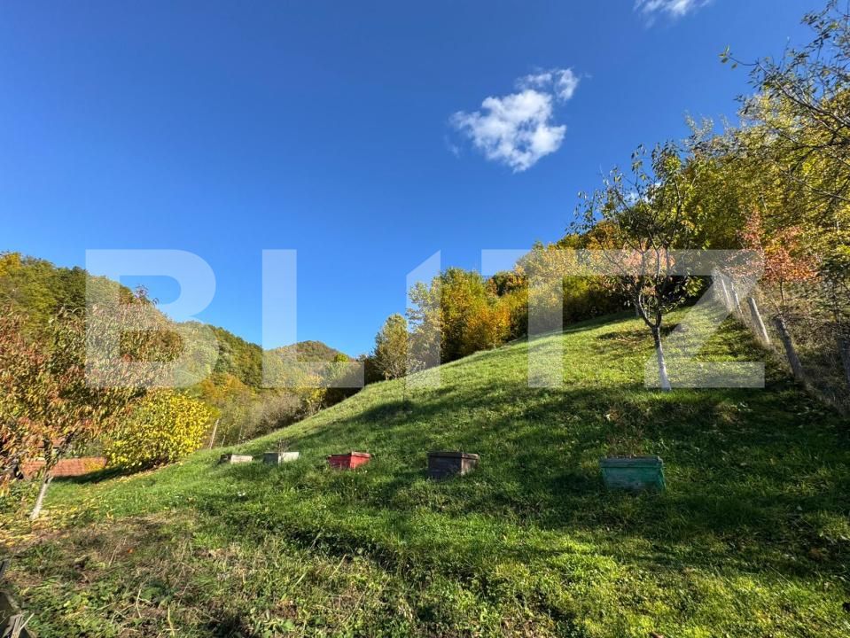 Casa de vânzare 3 camere Brad - 179901CV | BLITZ Deva | Poza15