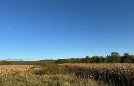 Teren extrvilan 1400mp in Branisca 