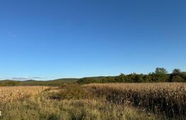 Teren extrvilan 1400mp in Branisca 