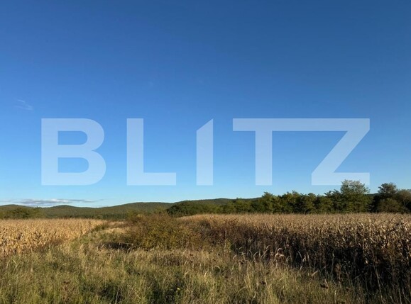 Teren de vânzare Branisca - 179960TV | BLITZ Deva | Poza2