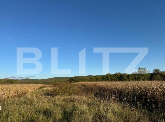 Teren de vânzare Branisca - 179960TV | BLITZ Deva | Poza1