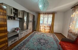 Casa cu 3 camere, 100mp, in Tampa