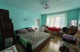 Casa cu 3 camere, 100mp, in Tampa