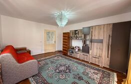 Casa cu 3 camere, 100mp, in Tampa