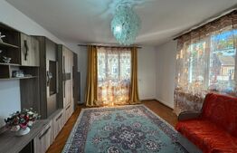 Casa cu 3 camere, 100mp, in Tampa