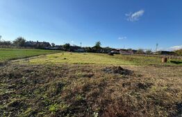 Casa cu 3 camere, 100mp, in Tampa