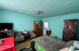 Casa cu 3 camere, 100mp, in Tampa