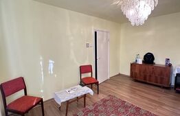 Apartament cu 2 camere semidecomandat, Deva, zona centrala linistita