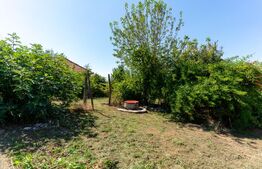 Casa de vanzare in Rovina(Branisca)