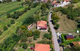 Casa de vanzare in Rovina(Branisca)