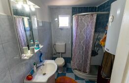 Casa de vanzare in Rovina(Branisca)