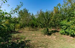 Casa de vanzare in Rovina(Branisca)