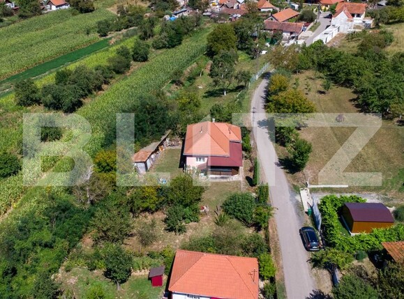 Casa de vânzare 3 camere Rovina (Branisca) - 180185CV | BLITZ Deva | Poza13
