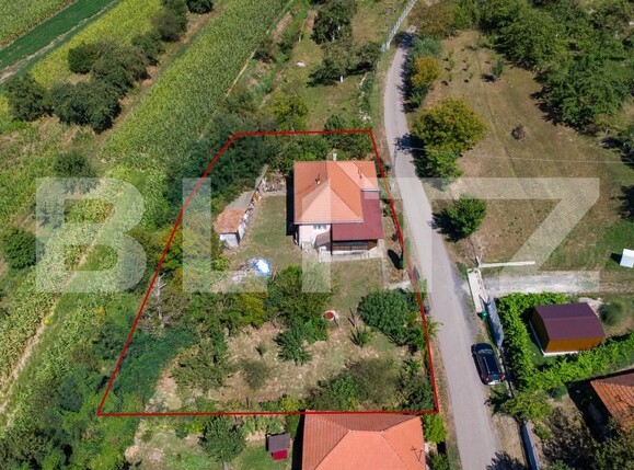 Casa de vânzare 3 camere Rovina (Branisca) - 180185CV | BLITZ Deva | Poza12