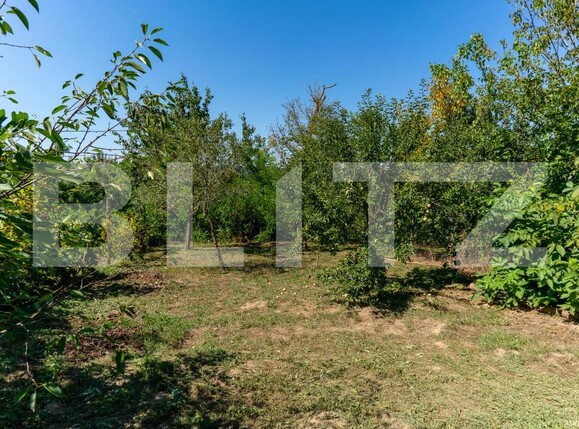 Casa de vânzare 3 camere Rovina (Branisca) - 180185CV | BLITZ Deva | Poza10