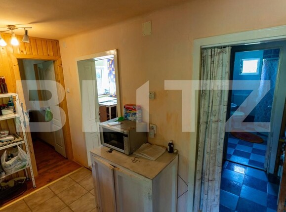 Casa de vânzare 3 camere Rovina (Branisca) - 180185CV | BLITZ Deva | Poza8