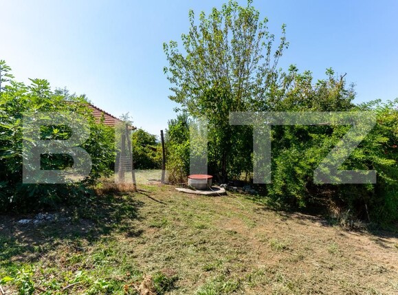 Casa de vânzare 3 camere Rovina (Branisca) - 180185CV | BLITZ Deva | Poza11