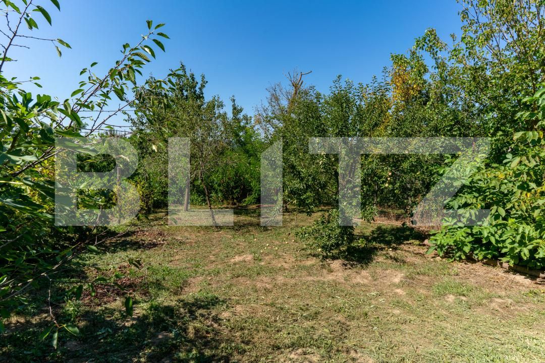 Casa de vânzare 3 camere Rovina (Branisca) - 180185CV | BLITZ Deva | Poza10