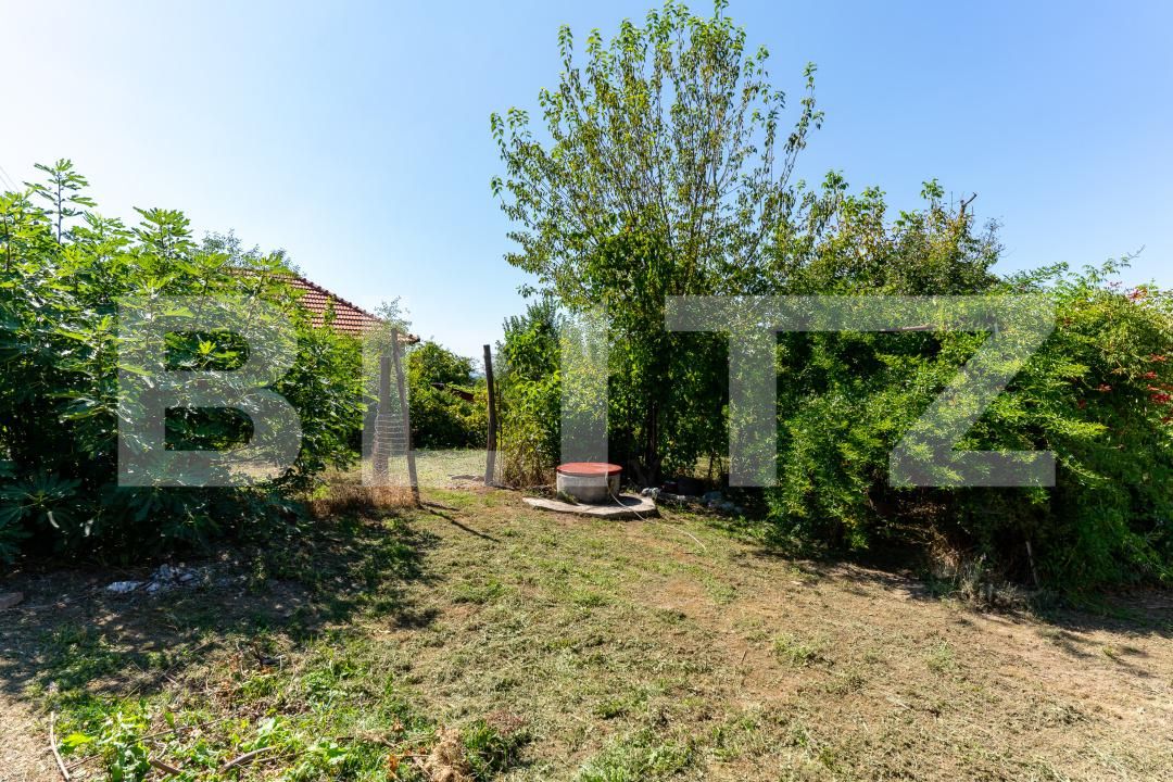 Casa de vânzare 3 camere Rovina (Branisca) - 180185CV | BLITZ Deva | Poza11