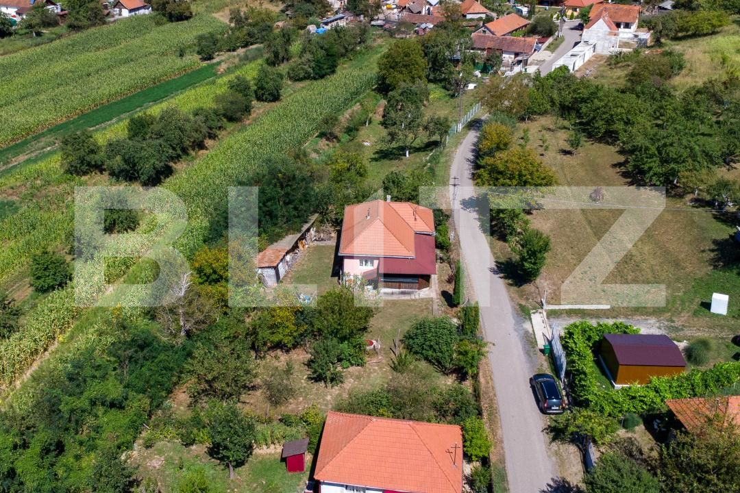 Casa de vânzare 3 camere Rovina (Branisca) - 180185CV | BLITZ Deva | Poza13