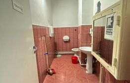 Spatiu comercial, 111 mp, Bulevardul Decebal