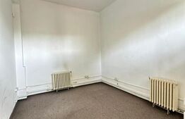 Spatiu comercial, 111 mp, Bulevardul Decebal