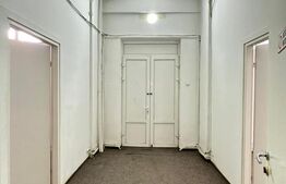 Spatiu comercial, 111 mp, Bulevardul Decebal