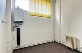 Spatiu comercial, 111 mp, Bulevardul Decebal