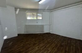 Hală de producție și depozitare, 4500 mp – Deva