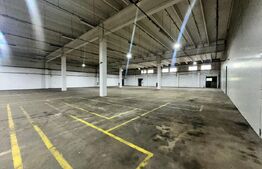 Hală de producție și depozitare, 4500 mp – Deva