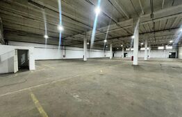 Hală de producție și depozitare, 4500 mp – Deva