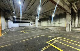 Hală de producție și depozitare, 4500 mp – Deva