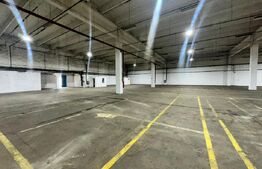 Hală de producție și depozitare, 4500 mp – Deva