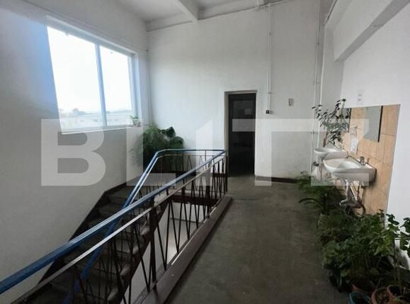 Spațiu industrial de închiriat 22 Decembrie - 180421SII | BLITZ Deva | Poza9