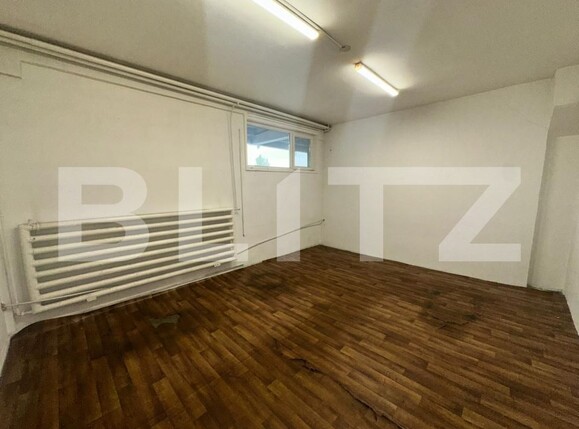 Spațiu industrial de închiriat 22 Decembrie - 180421SII | BLITZ Deva | Poza5
