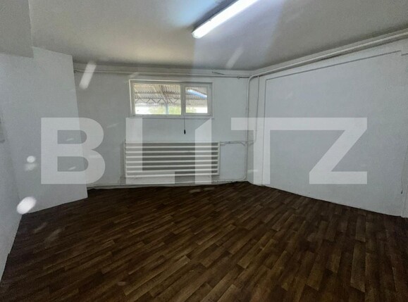 Spațiu industrial de închiriat 22 Decembrie - 180421SII | BLITZ Deva | Poza4