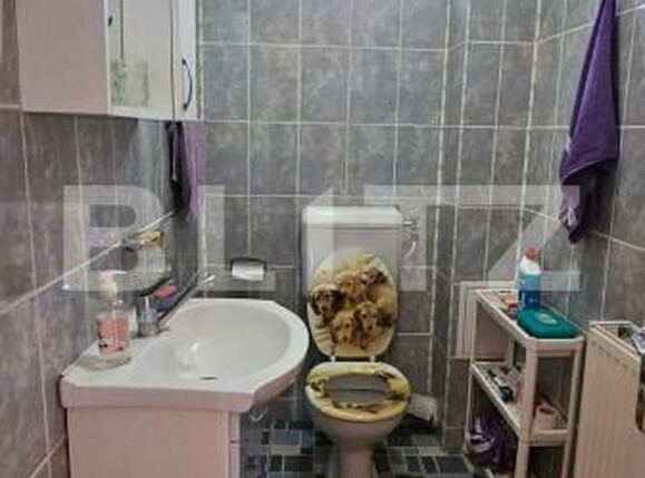 Casa de vânzare 6 camere Dorobanti - 180425CV | BLITZ Deva | Poza10