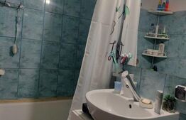 Apartament de vanzare, cu 2 camere, spațios și complet renovat, zona Bălcescu