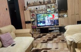 Apartament de vanzare, cu 2 camere, spațios și complet renovat, zona Bălcescu