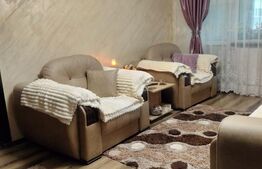 Apartament de vanzare, cu 2 camere, spațios și complet renovat, zona Bălcescu