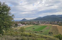 Vila la roșu, 240 mp, teren 93.000 mp - Șoimuș