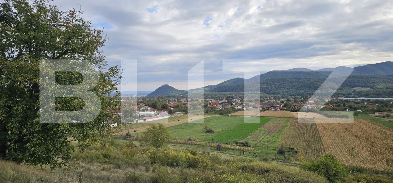 Casa de vânzare 6 camere Soimus - 180879CV | BLITZ Deva | Poza4