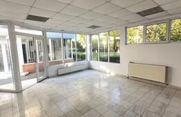 Oportunitate rară – spațiu comercial ultracentral, chiar pe pietonala Hunedoarei