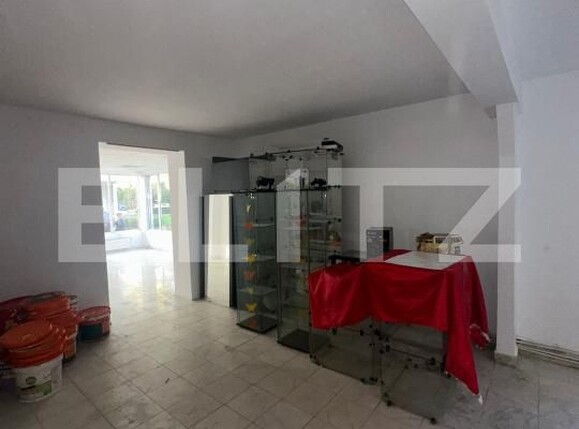 Spațiu comercial de vânzare Hunedoara - 180969SVC | BLITZ Deva | Poza4