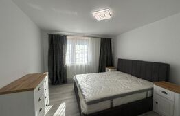 Casa 3 camere de inchiriat, 100 mp, zona Viile Noi